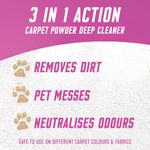 Vanish Powder Carpet Clnr 650G Pk3