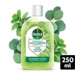 Dettol Conc Dis Eucalyp + Mint 250Ml