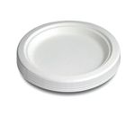 Super Rigid Plates 7In Pk50 3865
