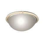 Polycarbonate Ceiling Dome Mirror