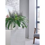 Boston Fern/Savannah Grass Lava
