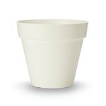 Tabletop Monstera Monkey White