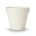 Tabletop Scindapsus White Planter