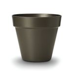 Tabletop Scindapsus Lava Planter