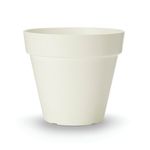 Tabletop Maranta Bush White Planter