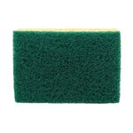 Spontex Unwrapped Sponge Scourer P66
