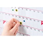 Sasco Academic Planner Mtd 2026/27