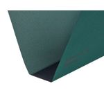 Rexel Crystalfile Susn File Grn Pk50