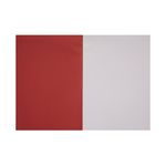 Exercise Book A4+ Plain Red Pk50
