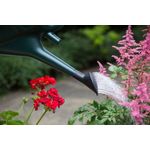 Whitefurze 6 Litre Watering Can Grn