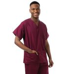 Unisex Lwt Scrub Top Maroon 2Xl