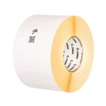 Zebra 1000T Label Roll 102X152Mm P12