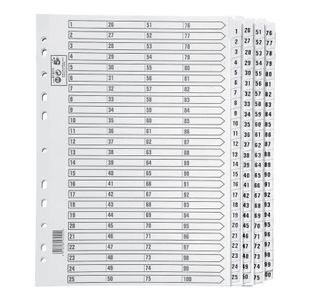 Index 1-100 Strip Tabs 1A4 Wht