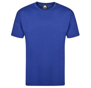 Plover Unisex T-Shirt Royal Blue 3Xl