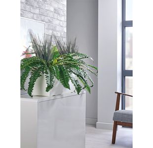 Boston Fern/Savannah Grass White